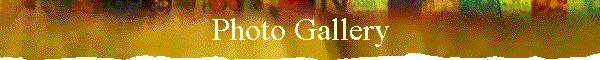 Photo Gallery