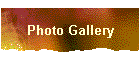 Photo Gallery